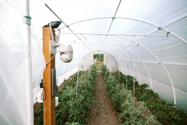 Security camera mounted in a modern greenhouse or farm facility