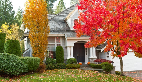 Tips to prep your house for fall
